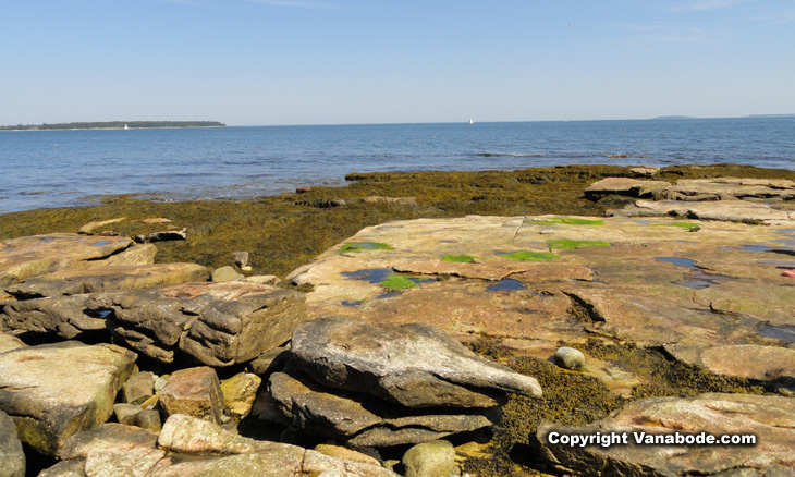 picture of natural seawall near seawall campground acadia national park maine