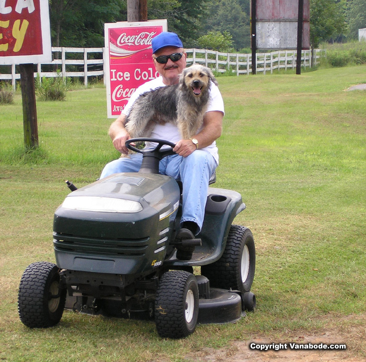 riding lawn mower and dog in alabama picture