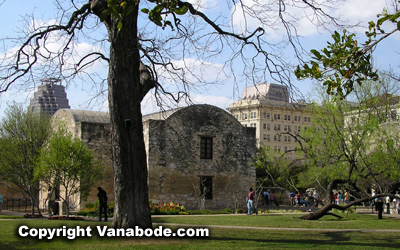 the alamo gardens san antonio texas