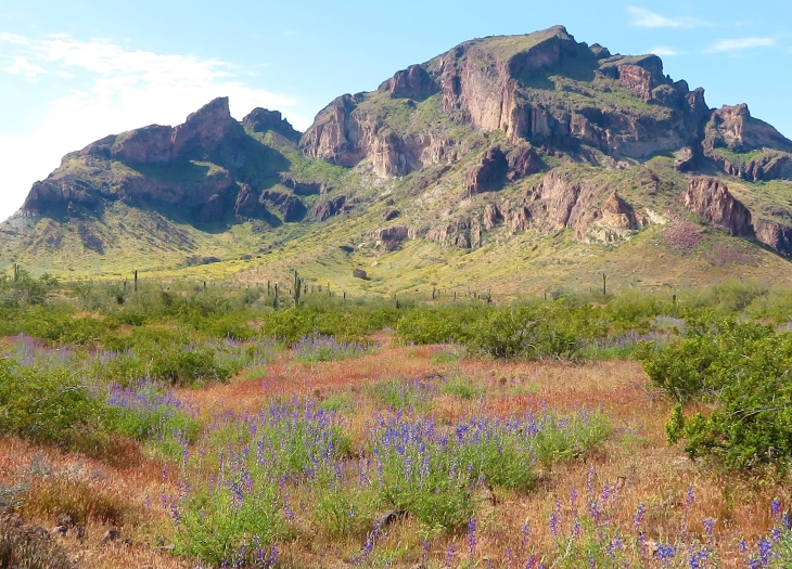 arizona saddle mountain blm