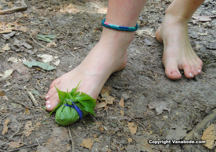 barefoot hiker makes and wears a leaf bandage over bruised bloody toe