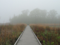 Bombay Hook Refuge