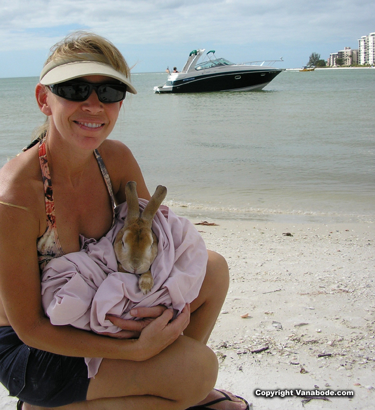 picture of bugsy in lovers key in fort myers beach