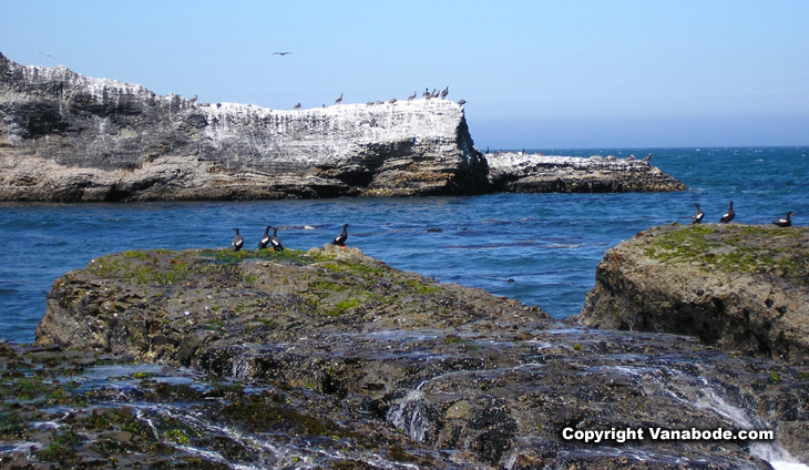 picture of cove along california coast