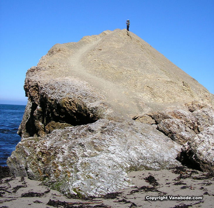 picture of trail up rock along california coast