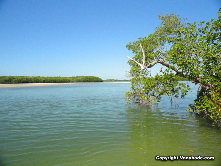 kayaking rivers and estuaries around Cape Coral's many islands and mangrove forests