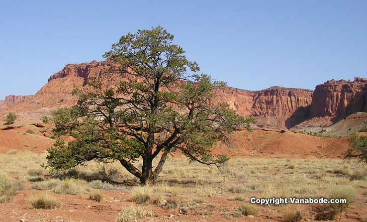 capitol reef hiking picture