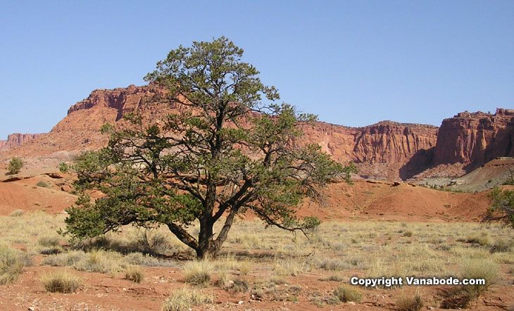 picture taken on hike at capitol reef national park