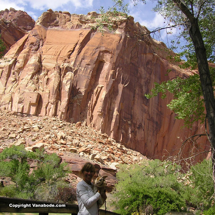 capitol reef national park utah picture