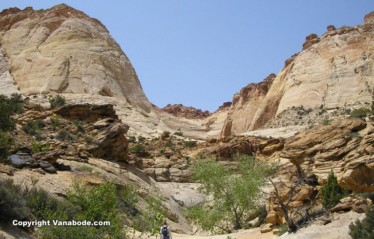 capitol reef national park picture