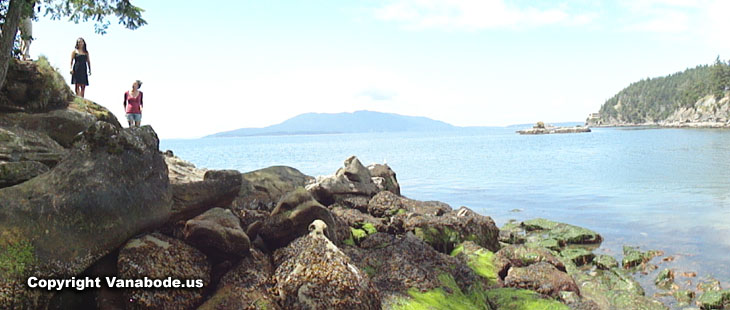 larrabee state park washington picture