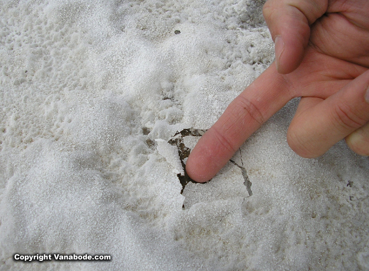 death valley salt creek picture