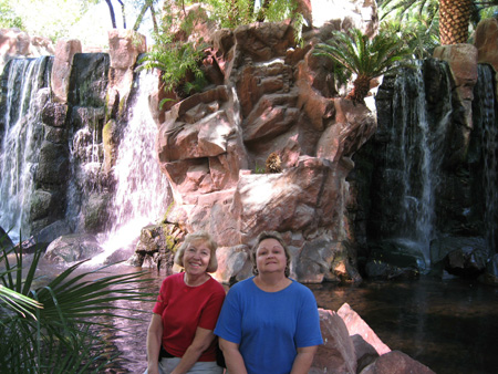 Picture of waterfalls inside Flamingo Wildlife Habitat
