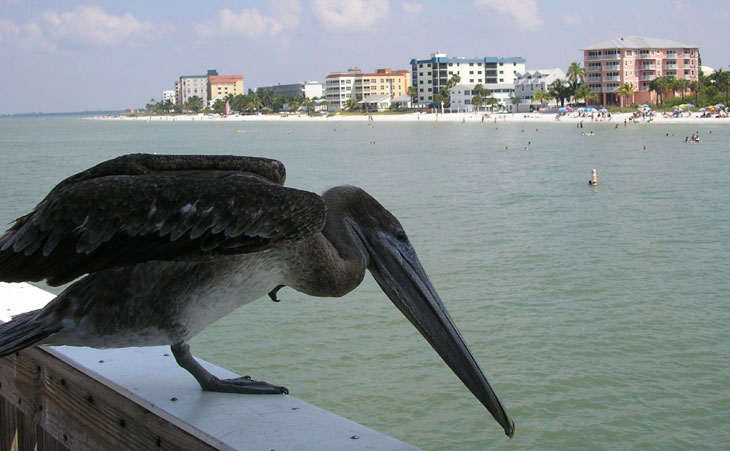 picture taken in fort myers beach