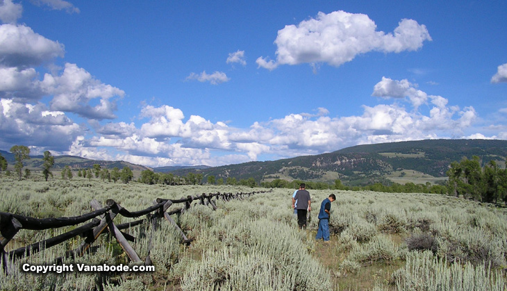 picture of sage covered field in grand tetons wyoming