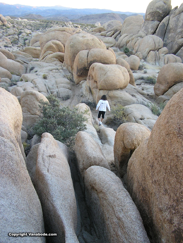 Hiking Joshua Tree National Park picture