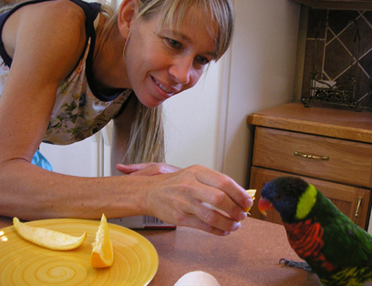 picture of kelly feeding cousin's Lorikeet bird