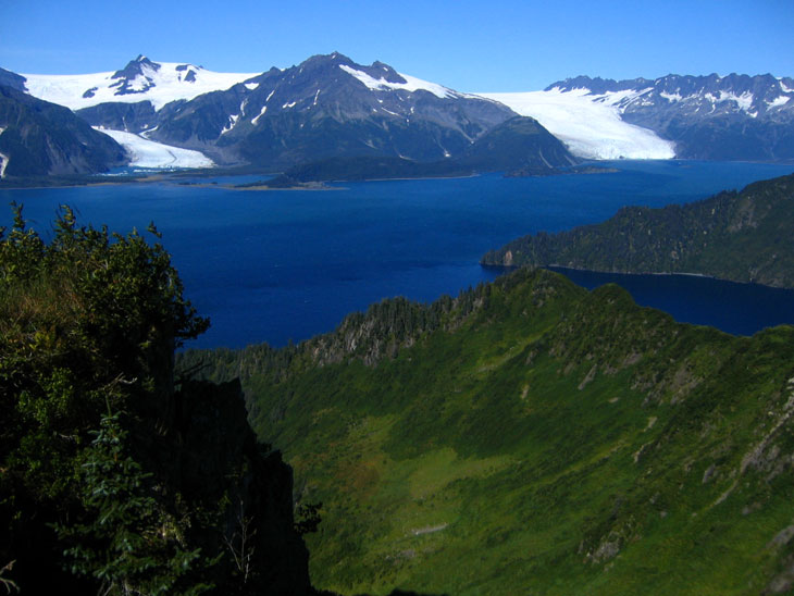 picture of the coast of the kenai fjords national park alaska