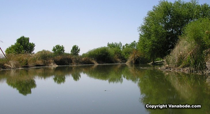 las vegas wash pond picture