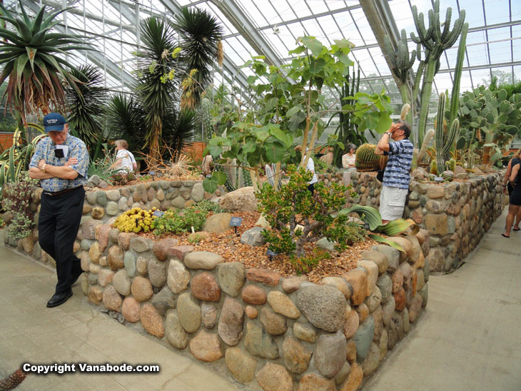 Matthaei Botanical Gardens conservatory inside with succulents and cactus