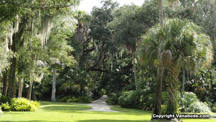 mckee botanical gardens trees and pathway picture