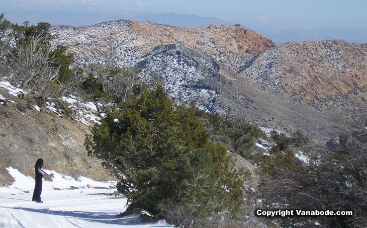 picture of view while walking through mount potosi