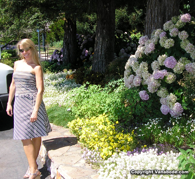 Wine taster in Napa California picture