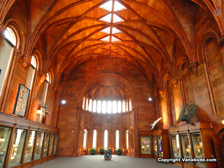 natural history museum massive showcase rooms.