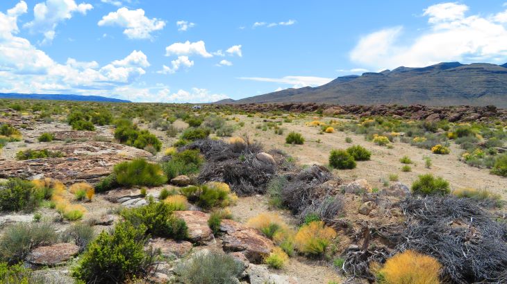 nevada blm camping