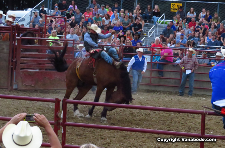 Washington County fair and rodeo