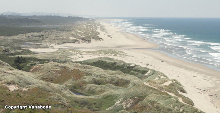 picture of oregon dunes national recreation area in florence