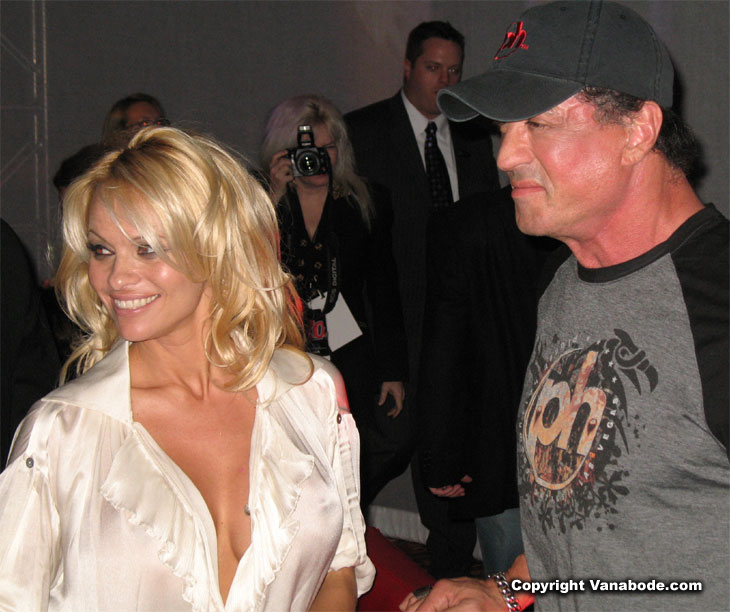 pamela anderson stallone