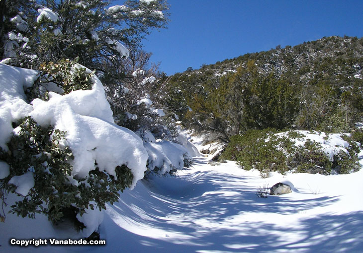 potosi mountain road and trail picture