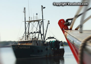 new bedford commercial fishing fleet