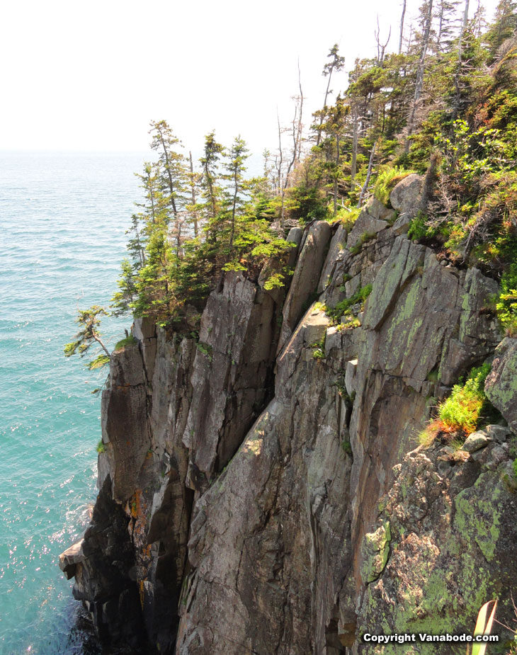 cliffs in quoddy head lighthouse state park in maine
