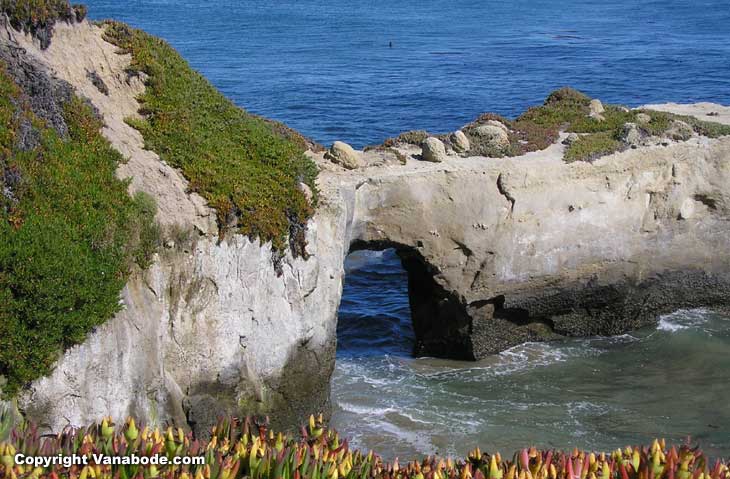 the santa cruz cliffs fall right into the heavy surf. Seals abound and so do surfers.