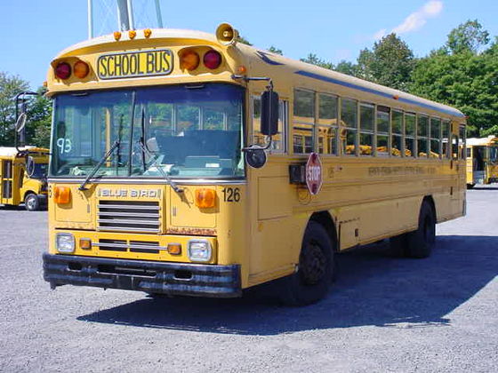 bluebird yellow school bus flat front