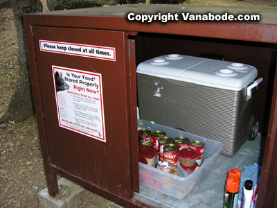 sequoia bear box picture