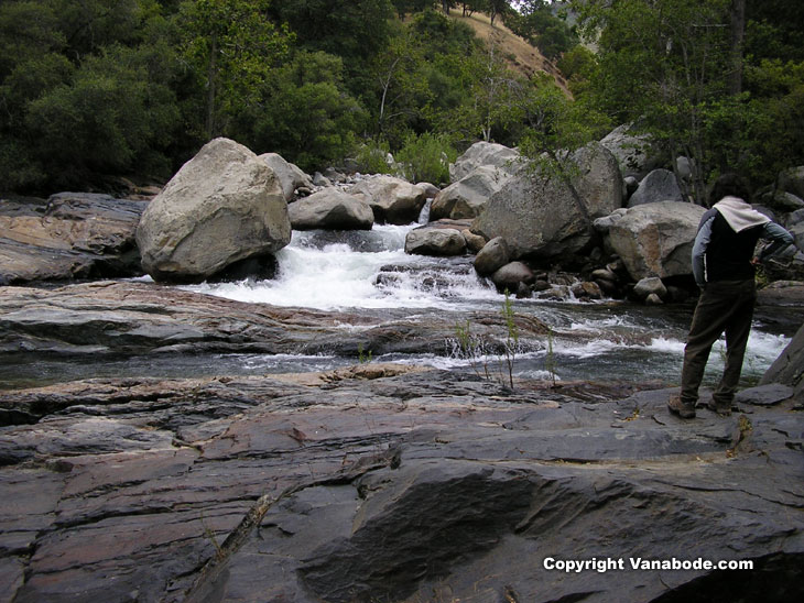Picture taken on foothills hike in Sequoia