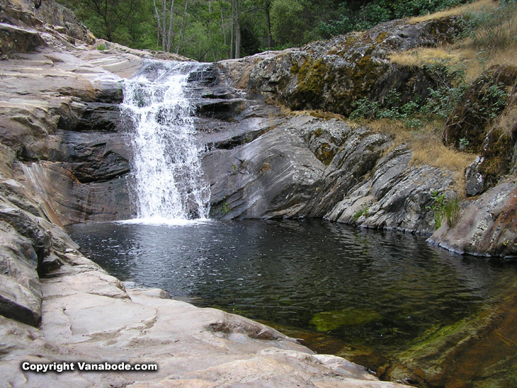 sequoia paradise creek trail picture