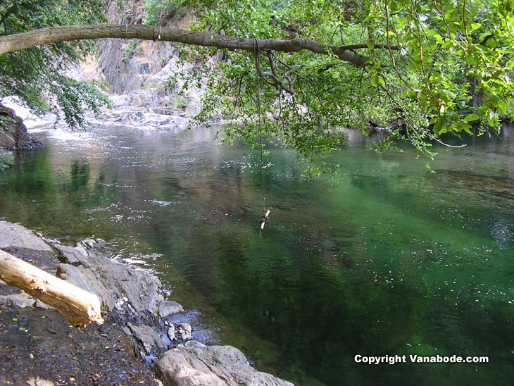 Picture taken at campground in Sequoia