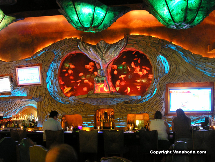 Silverton Casino Mermaid Lounge and jelly fish tank picture