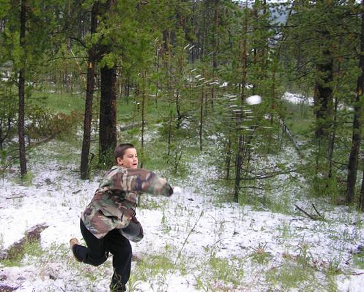 yellowstone national park snow fight picture