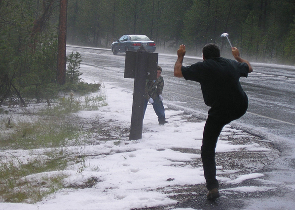 Snow fight in northern Yellowstone picture