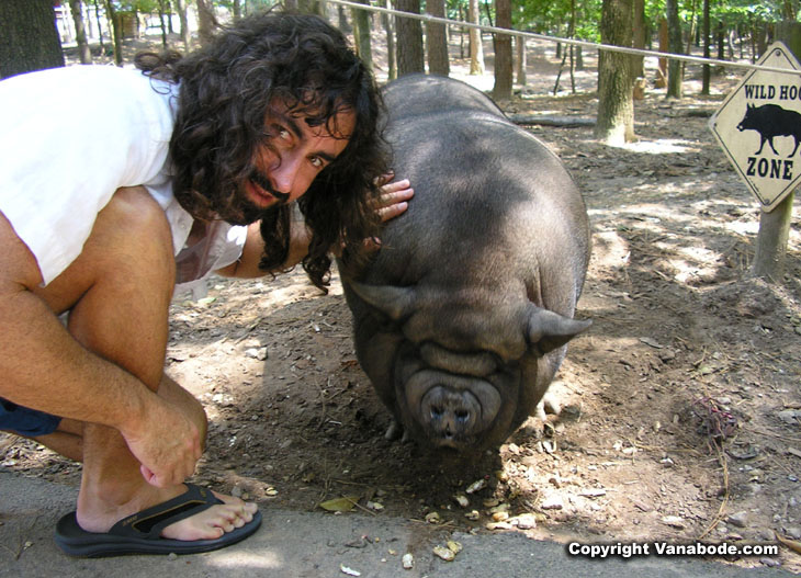 picture of jason and pot belly pig at tanglewood petting farm in buford georgia