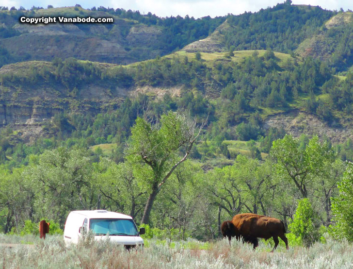 Theodore Roosevelt National Park in North Dakota