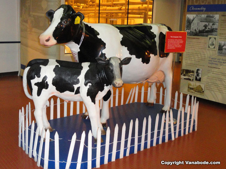 picture taken while on self tour through tillamook cheese factory