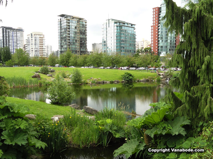 picture of downtown vancouver from stanley park