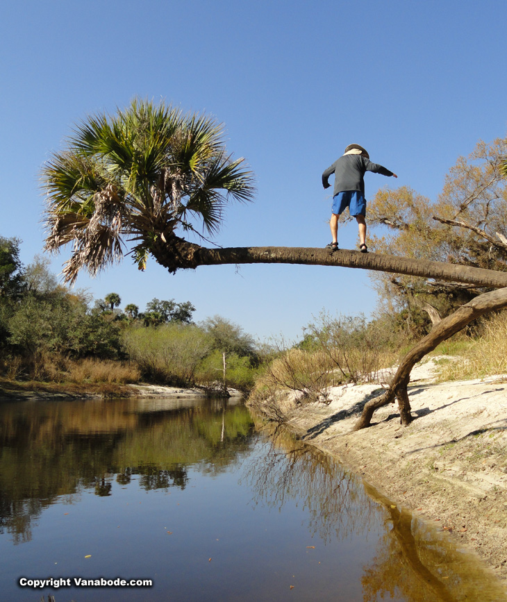 low water level picture of econlockhatchee river in florida