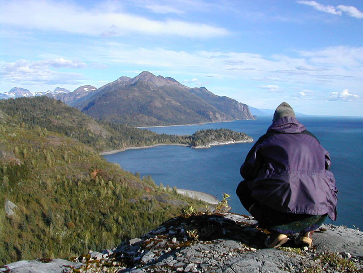 Picture of hiker in Glacier Bay Park Alaska